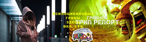 дживик Абаза
