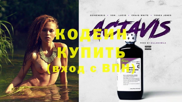 дживик Абаза